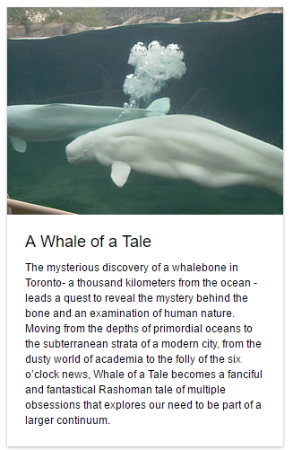 A Whale of a Tale